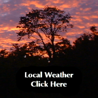 Local Weather